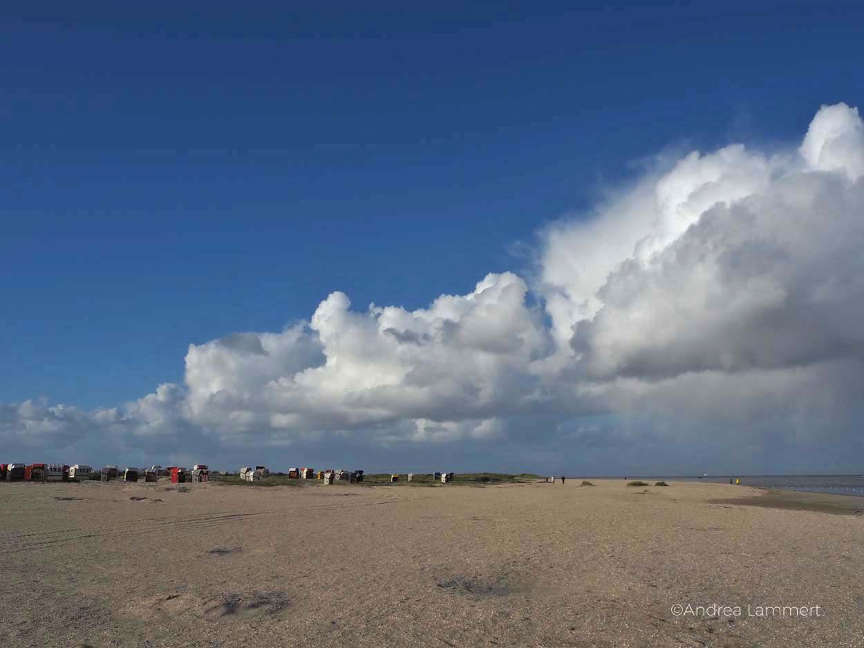 Schillig Sandstrand und einsame Inseln an der Nordsee im Wangerland