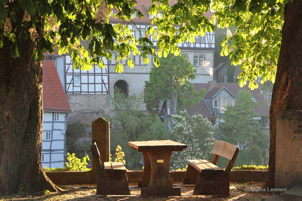 Er sucht sie warburg