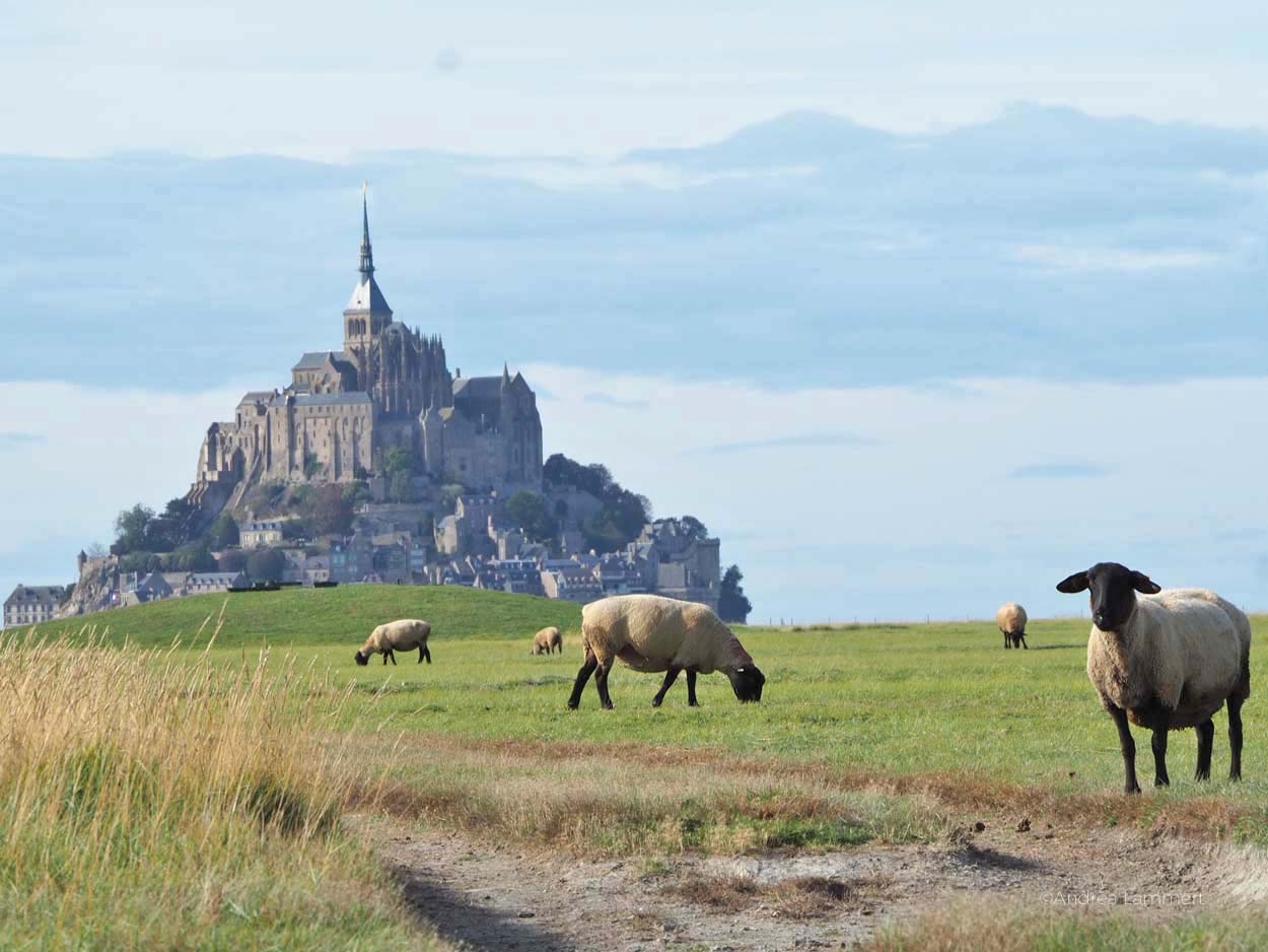 Mont-Saint-Michel, Overtourism, wann kann man ihn besuchen, was kostet das Parken