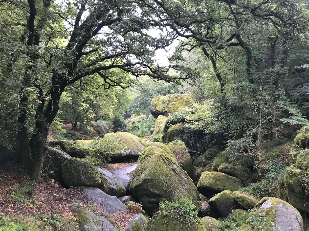 Bretagne Tipps, Huelgoat, Artuswald, Wald der Bretagne, Märchenwald, Anderswelt, Kraftplatz Bretagne, Mystik Bretagne, Keltenplätze Bretagne, Artus-Grotte