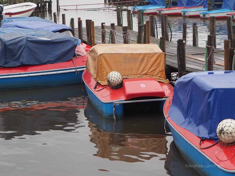 Bad Zwischenahn, Meer, Sehenswürdigkeiten, was ist los, Kurstadt, weiße Flotte, Ammerland