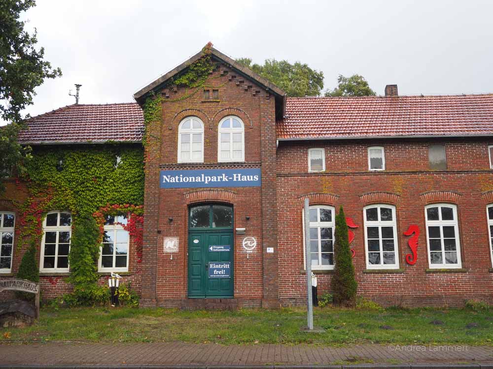 Das Nationalparkhaus liegt in einer alten Schule in Dangast