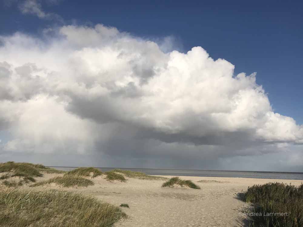 Niedersächsische Nordseeküste: In Schillig im Wangerland gibt es Sandstrand und Dünen.