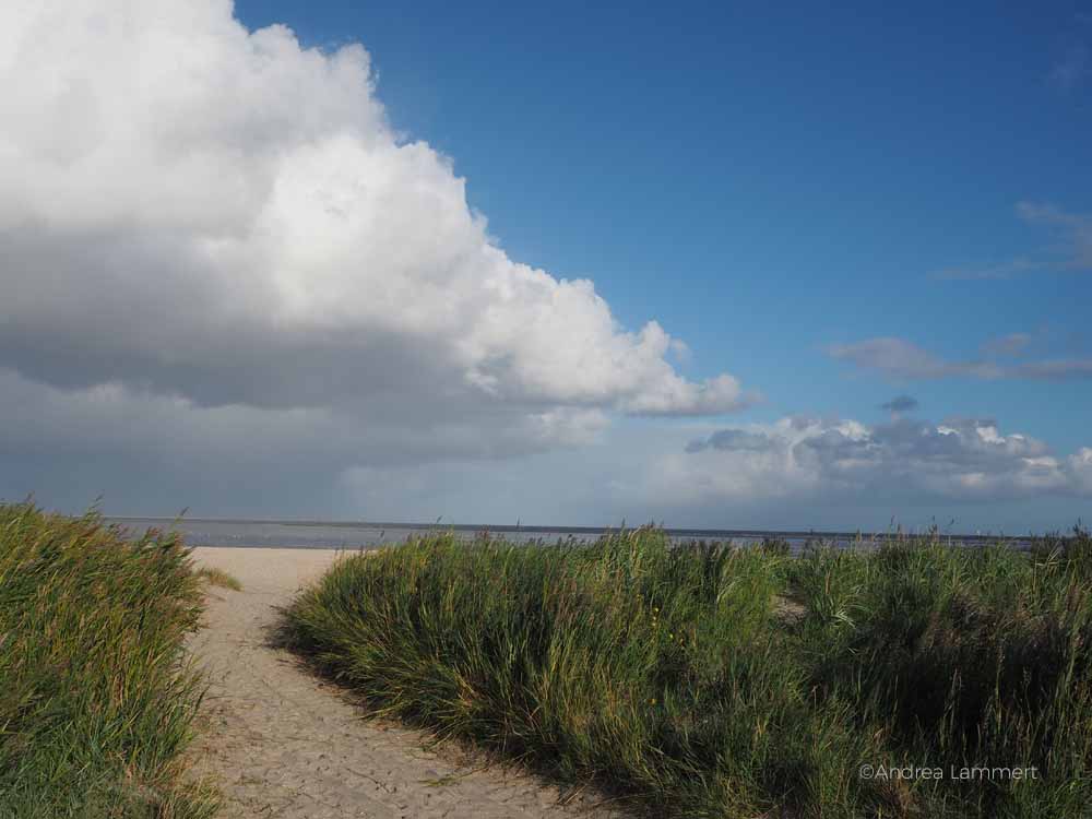 Niedersächsische Nordseeküste: In Schillig im Wangerland gibt es Sandstrand und Dünen.