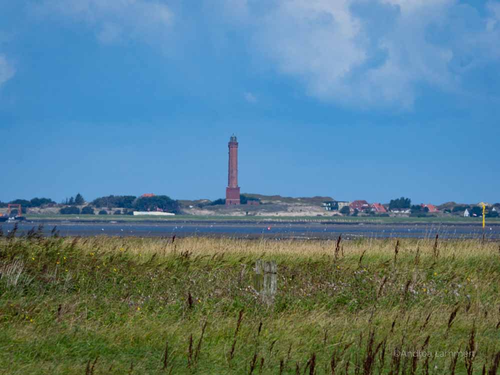 Ostfriesland im Spätsommer, Tipps, Neßmersiel, Dornumersiel, Norden