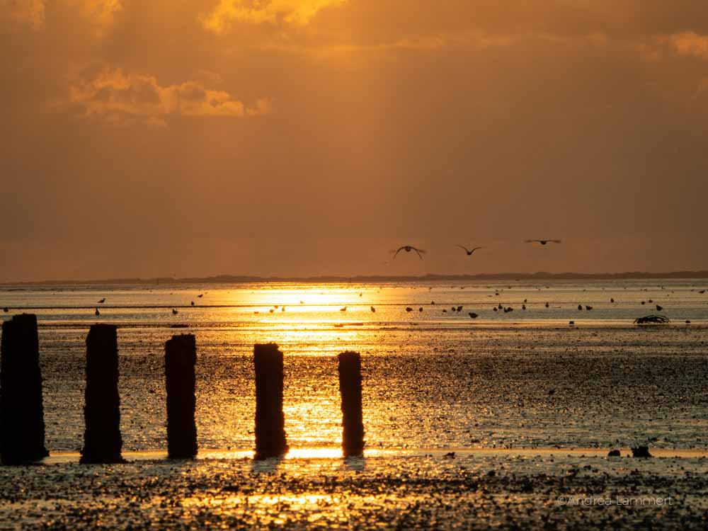 Ostfriesland im Spätsommer, Tipps, Neßmersiel, Dornumersiel, Norden