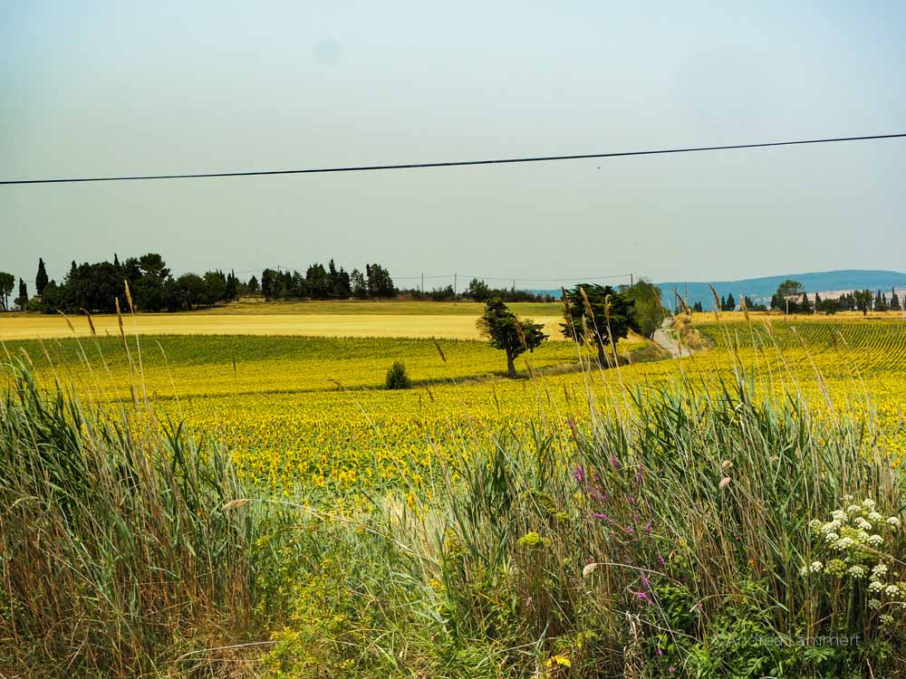 Bus und Bahn in Frankreich, von Hannover zum Mittelmeer mit Bus und Bahn