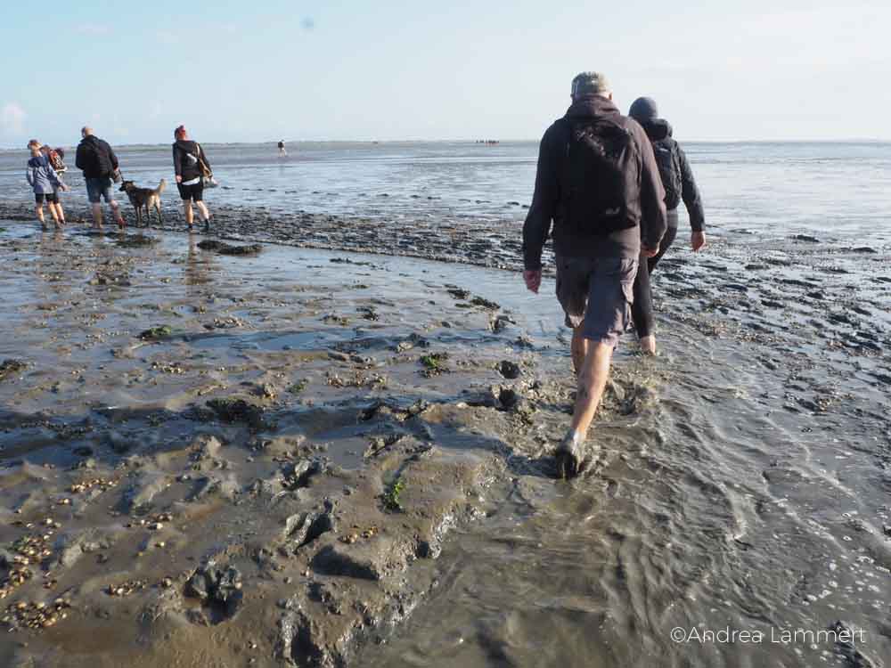 Ostfriesland im Spätsommer, Tipps, Neßmersiel, Dornumersiel, Norden