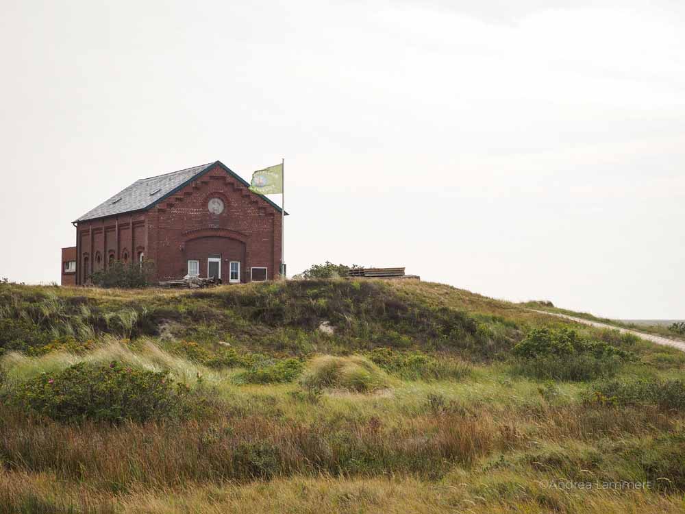 Ostfriesland, Ostfriesisch Inseln, Nordseeinseln autofrei, Spiekeroog Fähre Preise, Anreise