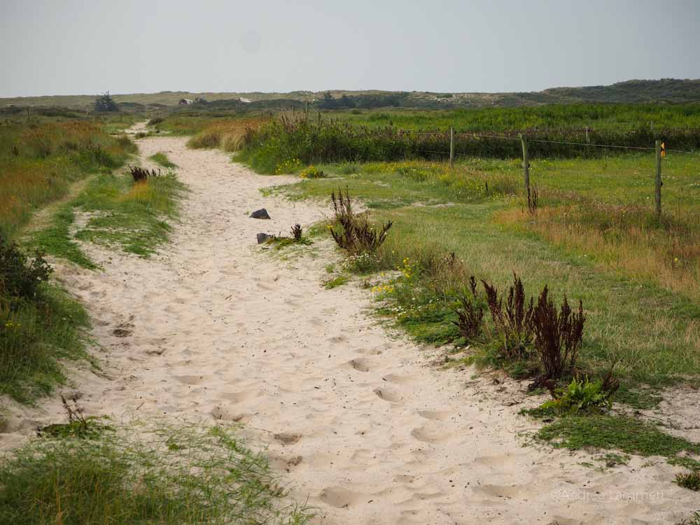 Ostfriesland, Ostfriesisch Inseln, Nordseeinseln autofrei, Spiekeroog Fähre Preise, Anreise