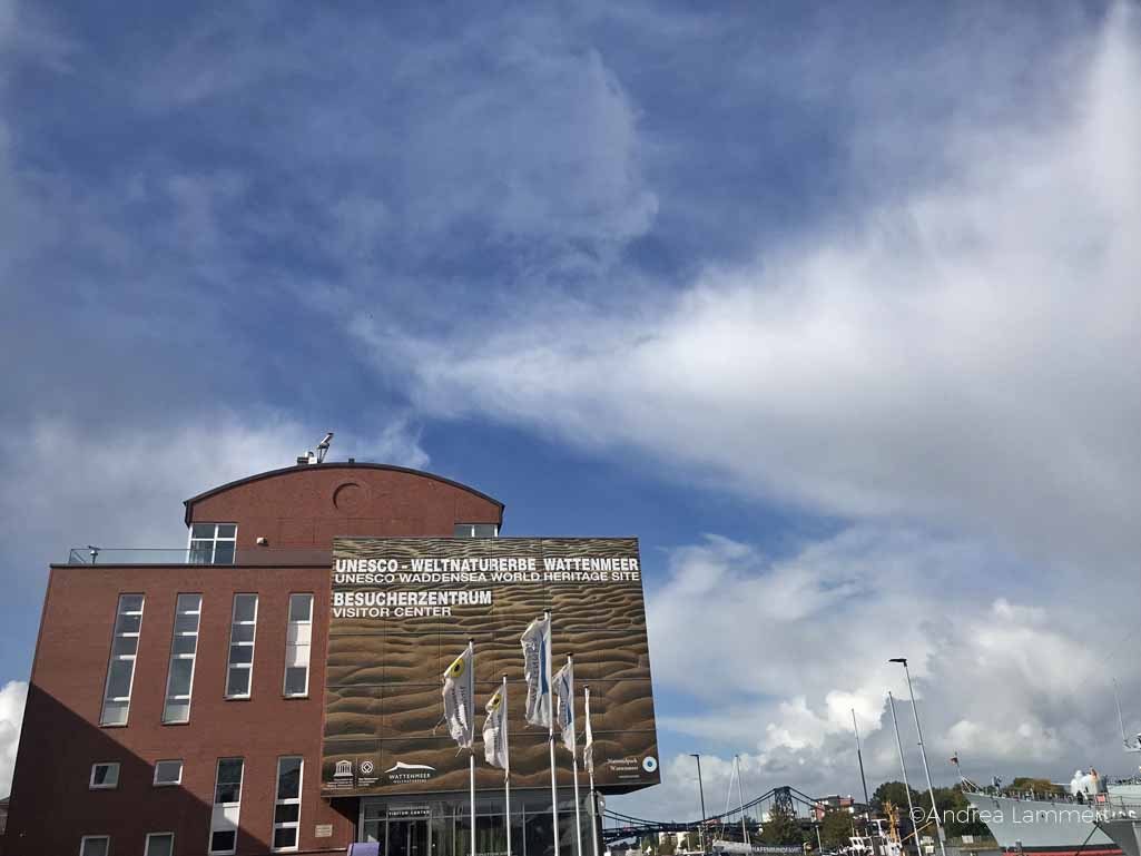 Walbeobachtung an der Nordsee, Sylt ist ein Hotspot, um Schweinswale zu sehen, es gibt sogar einen Walpfad zum Wandern, dort kann man Schweinswale von der Küste aus sehen. In Wilhelmshaven sobar vom Wattenmeerbesucherzentrum: Wale beobachten