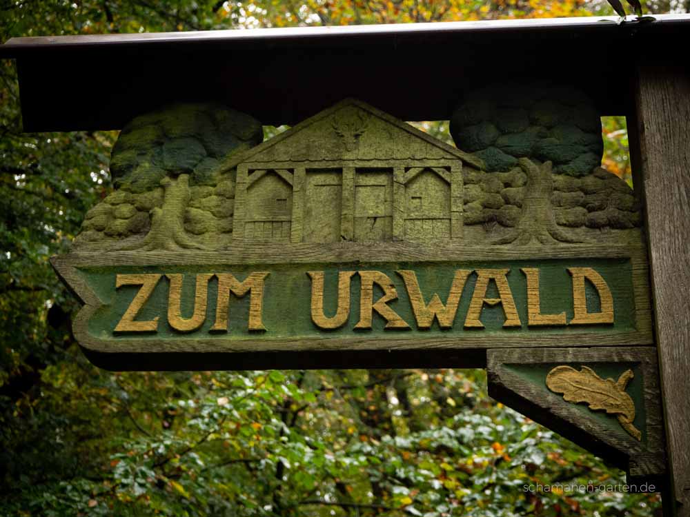 Neuenburger Urwald, Zetel, Ostfriesland, schönster Wald, Zauberwald