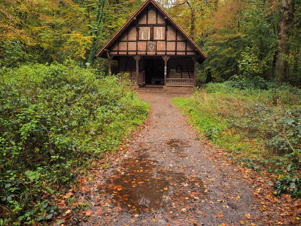 Neuenburger Urwald, Zetel, Ostfriesland, schönster Wald, Zauberwald