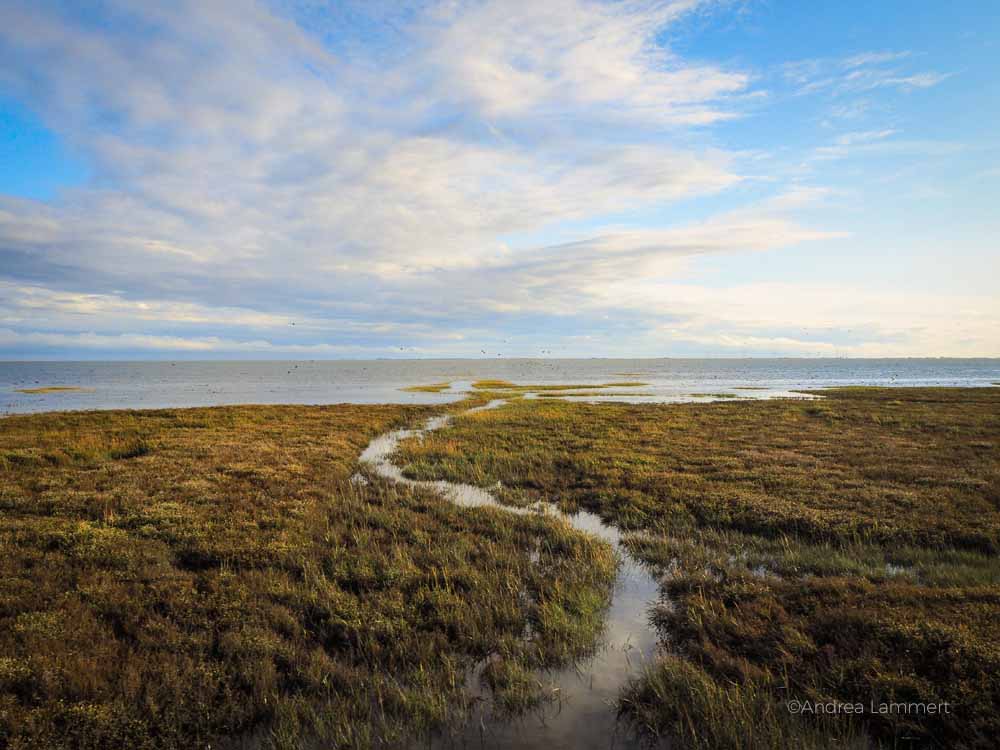 Wangerooge Ankunft, Fähre, Sehenswürdigkeiten, Karte, Urlaub auf Wangerooge Tipps