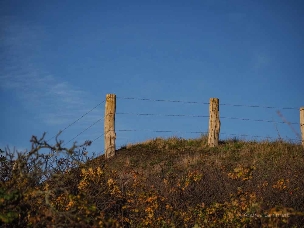 Wangerooge Ankunft, Fähre, Sehenswürdigkeiten, Karte, Urlaub auf Wangerooge Tipps