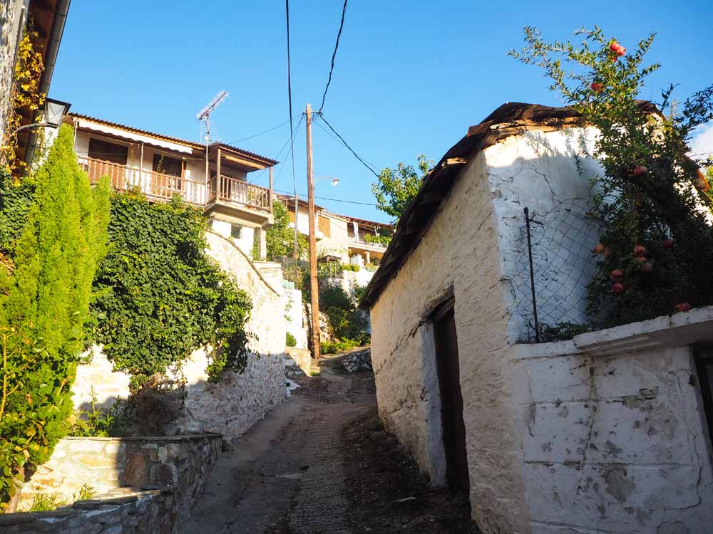 Thassos Reiseführer, Anreise Thassos, Hotel, Berge, wandern