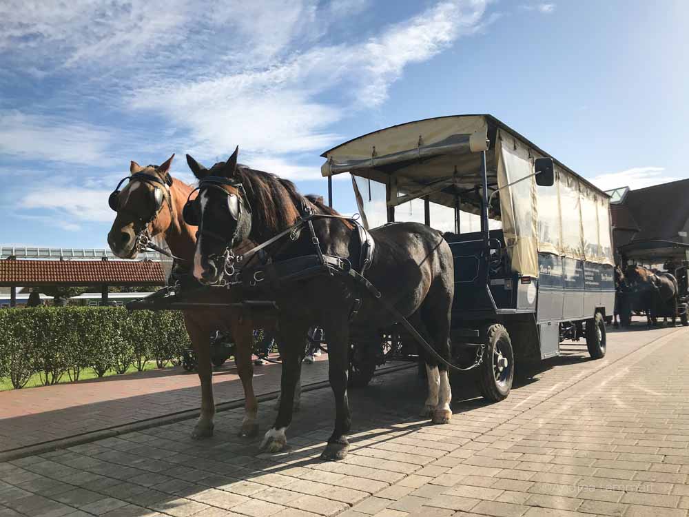 Langeoog, Fährte, Karte, Sehenswürdigkeiten, Wetter, News, Inselbahn, Veranstaltungen, Bilder, Nordsee, Reiseführer, Tipps