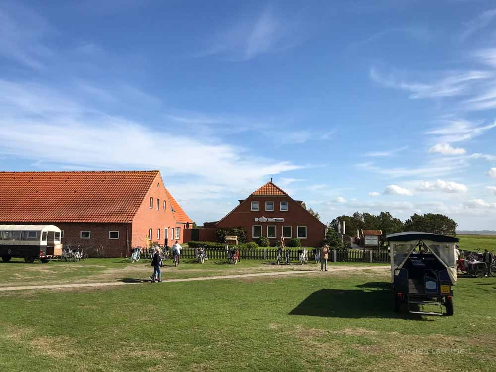 Langeoog, Fährte, Karte, Sehenswürdigkeiten, Wetter, News, Inselbahn, Veranstaltungen, Bilder, Nordsee