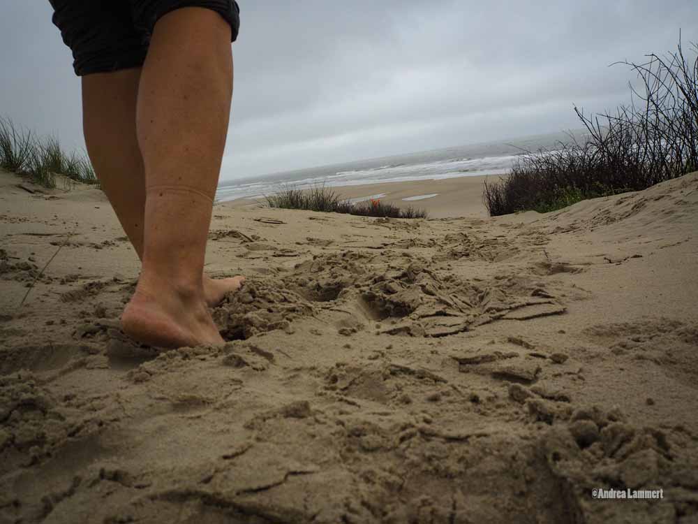 Oststrand Borkum, wilde Dünen