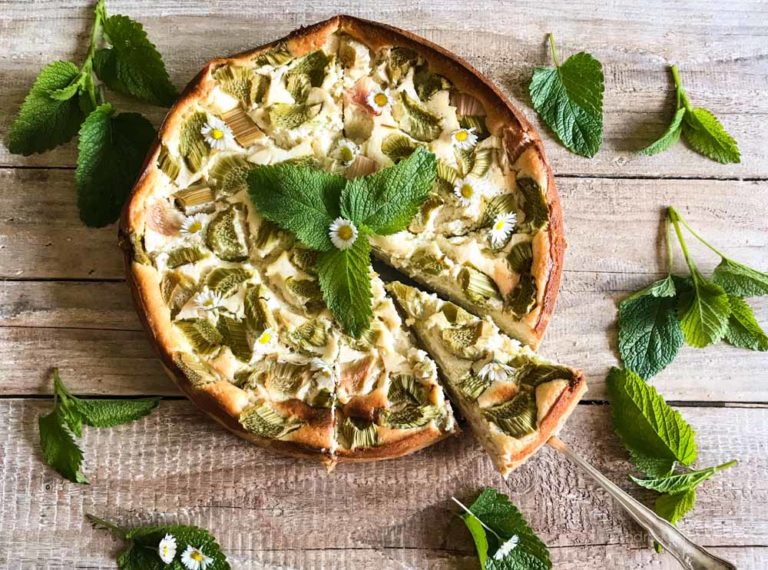 Rhabarber-Schmandkuchen - indigoblau - Reisen, Mysik, Nachhaltigkeit, Harz