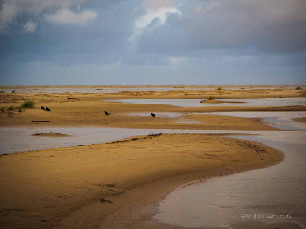 Bei Ebbe: Nordseelandschaft, Borkums Weite