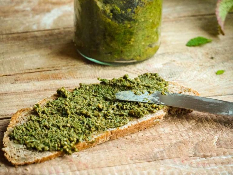 Zitronenmelissen-Pesto I Schnell &amp; raffiniert I Kräuterrezepte I indigo ...