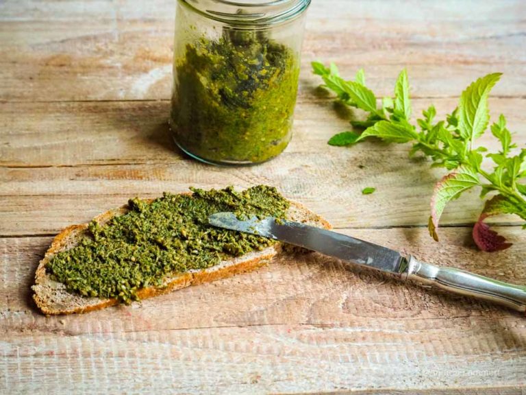 Zitronenmelissen-Pesto I Schnell &amp; raffiniert I Kräuterrezepte I indigo ...