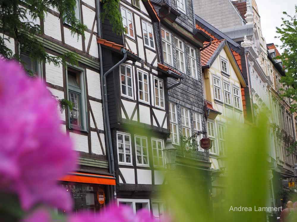 Das Magniviertel bietet Fachwerkschönheit und gehört zu den beliebtesten Sehenswürdigkeiten Braunschweigs.