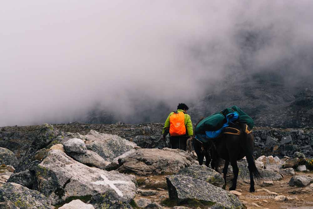 Die besten Trekking-Routen der Welt