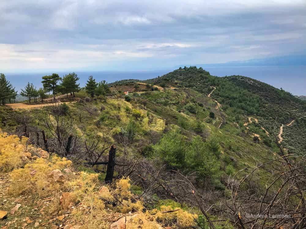 In den Bergen von Thassos