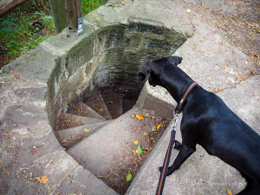 Fuchsbau an der Teufelsmauer