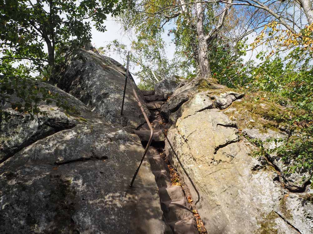 Steiler Anstieg über eine Treppe auf dem Kammweg der Teufelsmauer