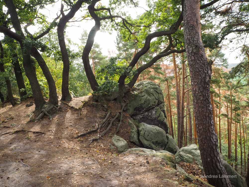 Wandern auf der Teufelsmauer im Harz