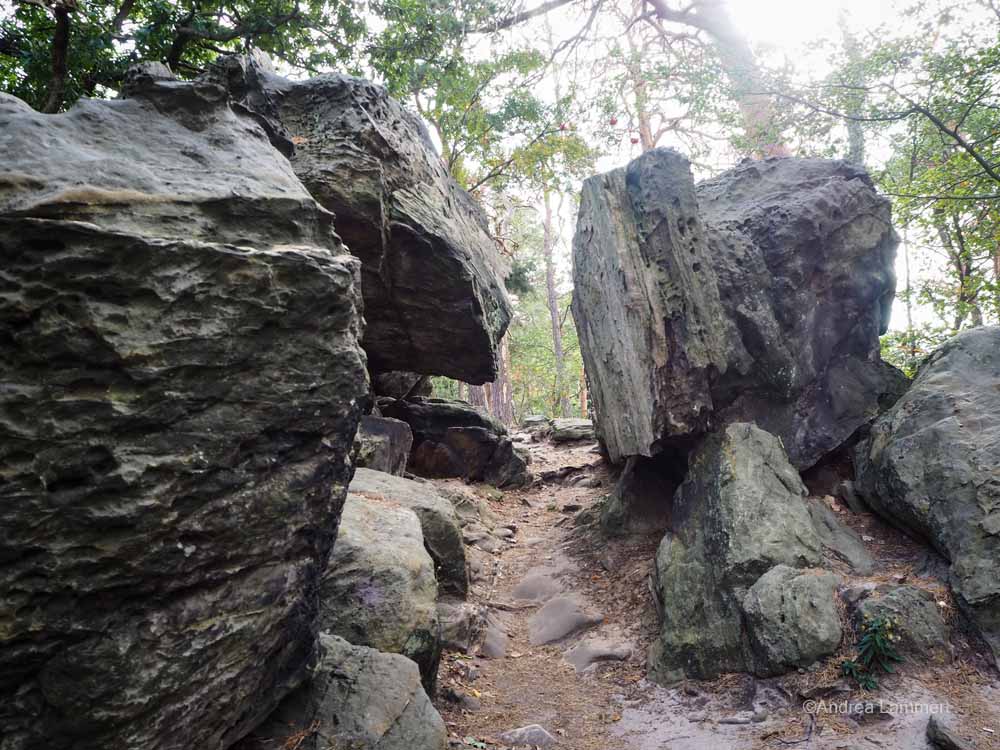 Steiler Anstieg über eine Treppe auf dem Kammweg der Teufelsmauer