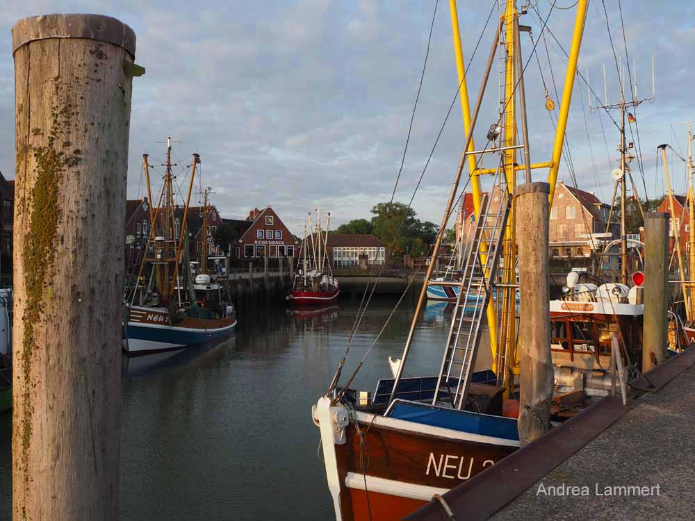 Neuharlingersiel, Hafen, Fähre Spiekeroog, Ferienwohnung, Sehenswürdigkeiten, Hafen