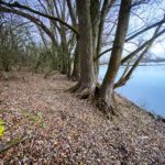 Koldinger Seen, Wanderung, Leineaue