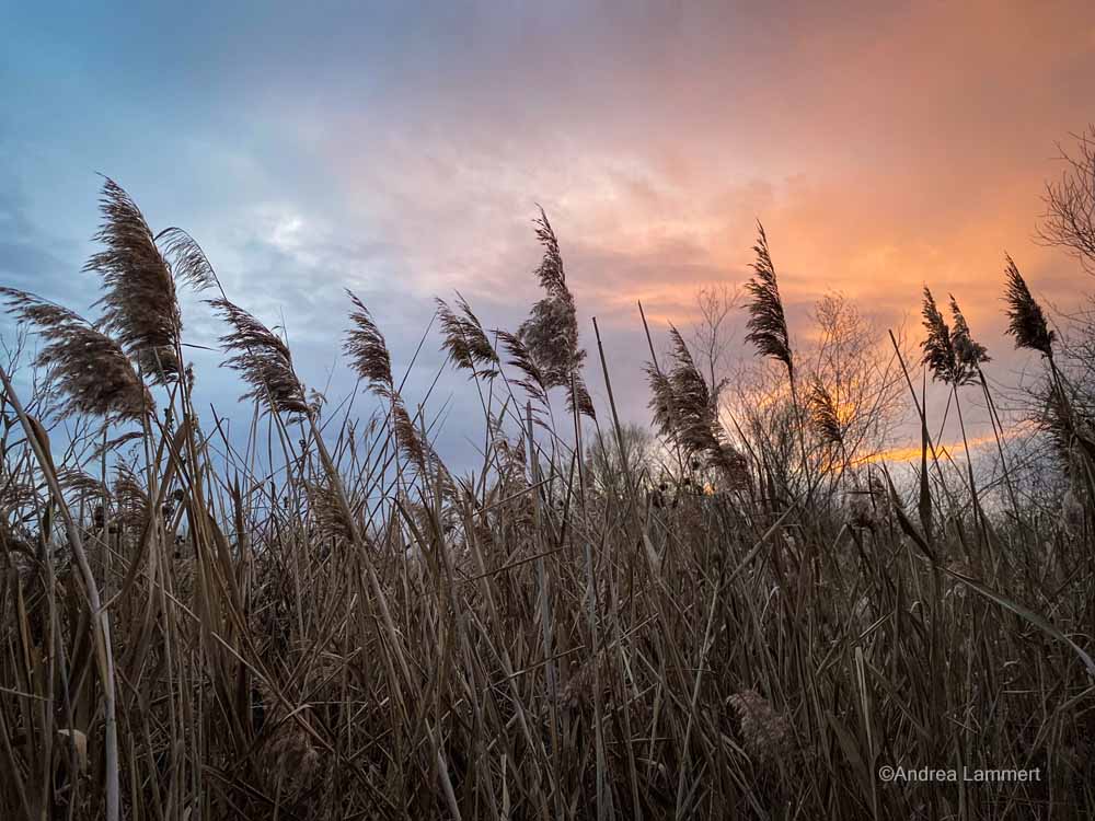 Koldinger Seen, Wanderung, Leineaue