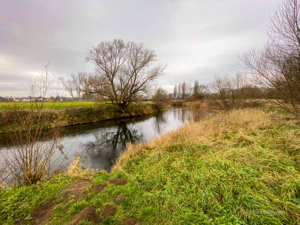 Koldinger Seen, Wanderung, Leineaue