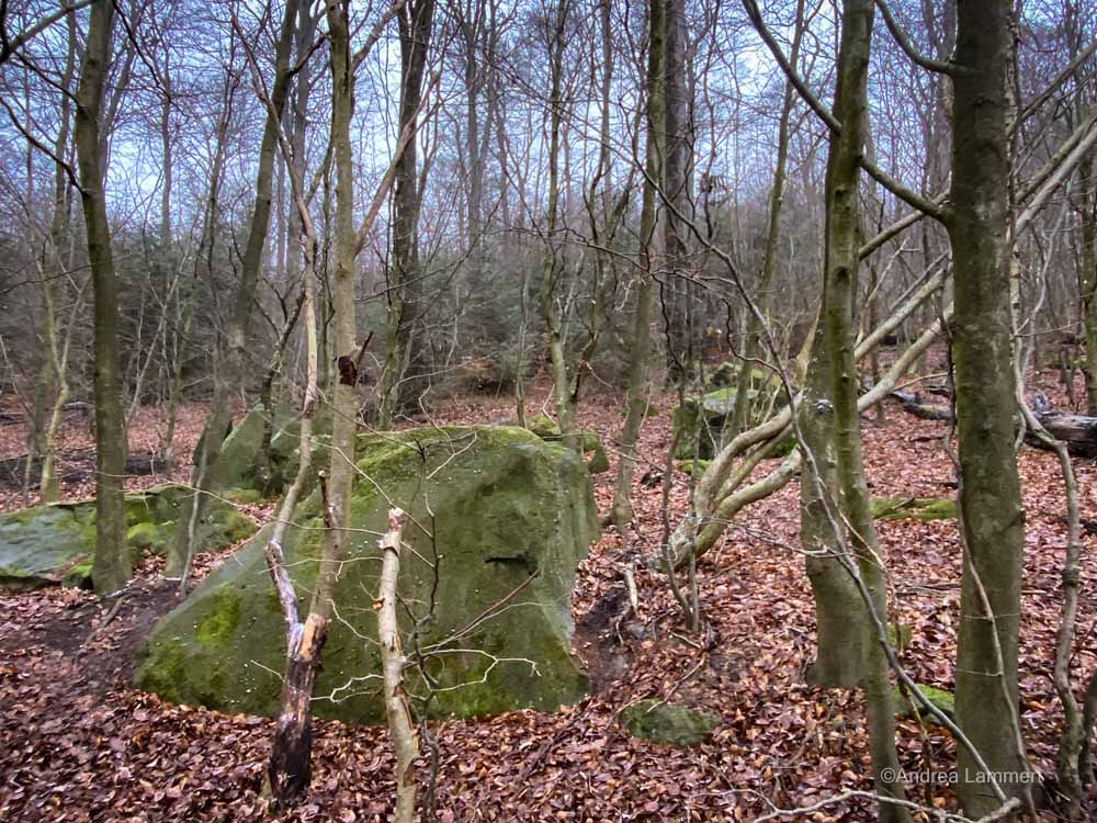 Wandern im Deister, Alte Teufel, Wennigsen, Nienstedt, Nordmannsturm