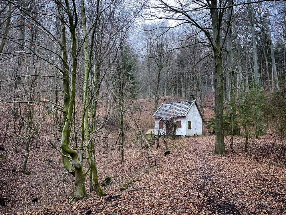 Wandern im Deister, Alte Teufel, Wennigsen, Nienstedt, Nordmannsturm