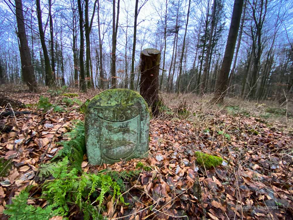 Wandern im Deister, Alte Teufel, Wennigsen, Nienstedt, Nordmannsturm