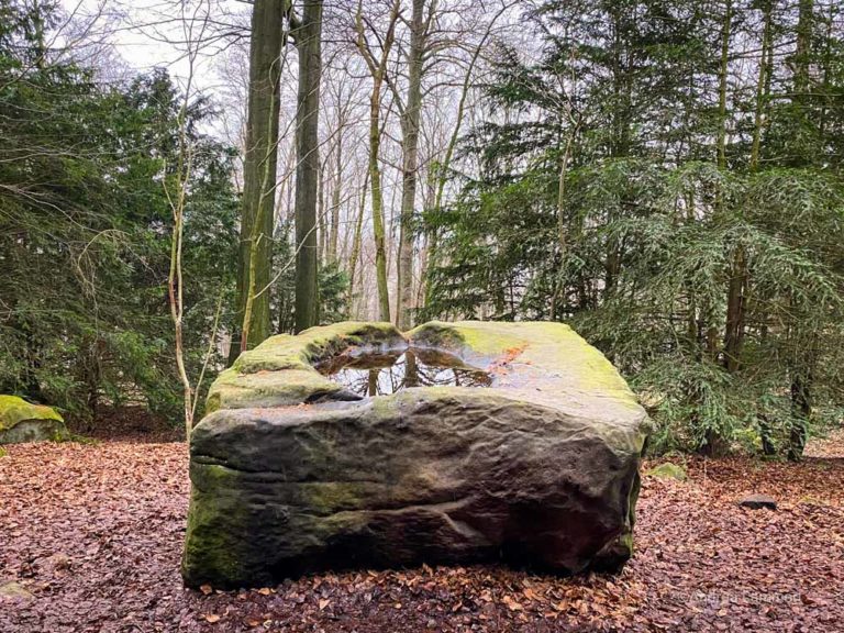 Deister: Wandern zur Alten Taufe I Tipps bei www.indigo-blau.de