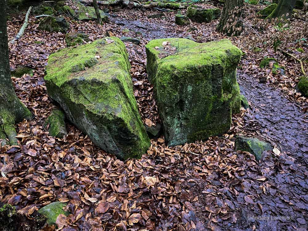 Wandern im Deister, Alte Teufel, Wennigsen, Nienstedt, Nordmannsturm