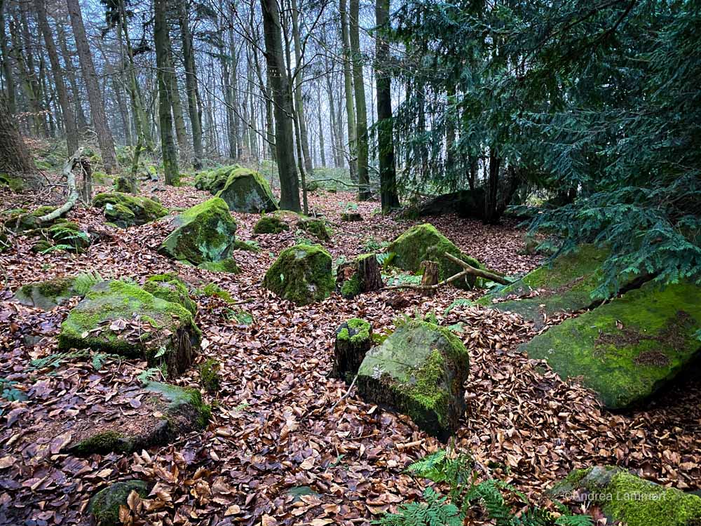 Wandern im Deister, Alte Teufel, Wennigsen, Nienstedt, Nordmannsturm