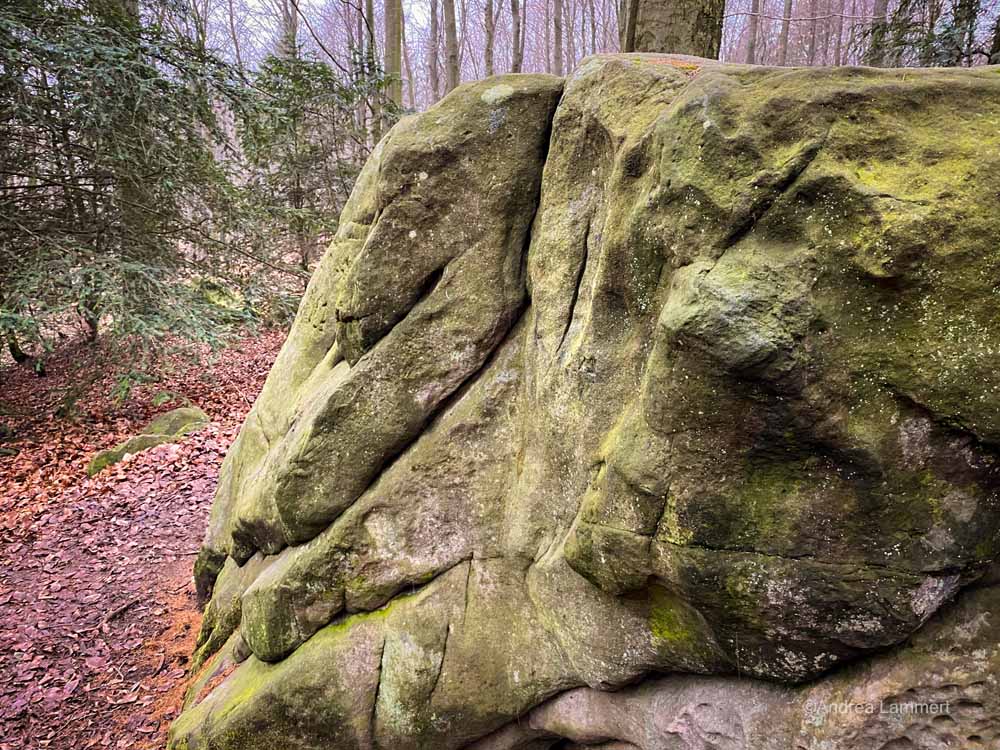 Wandern im Deister, Alte Teufel, Wennigsen, Nienstedt, Nordmannsturm