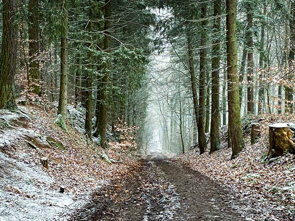 Wandern im Deister, Alte Teufel, Wennigsen, Nienstedt, Nordmannsturm