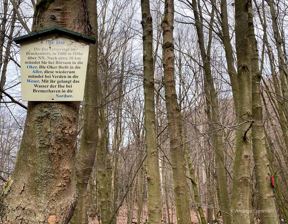 Harz, wandern im Ilsetal, Brocken, Ilsefälle