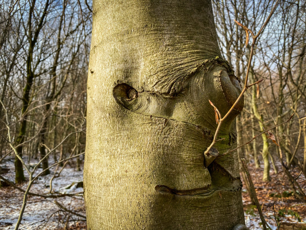 Kalletal, wandern, Hexenberg in Lüdenhausen