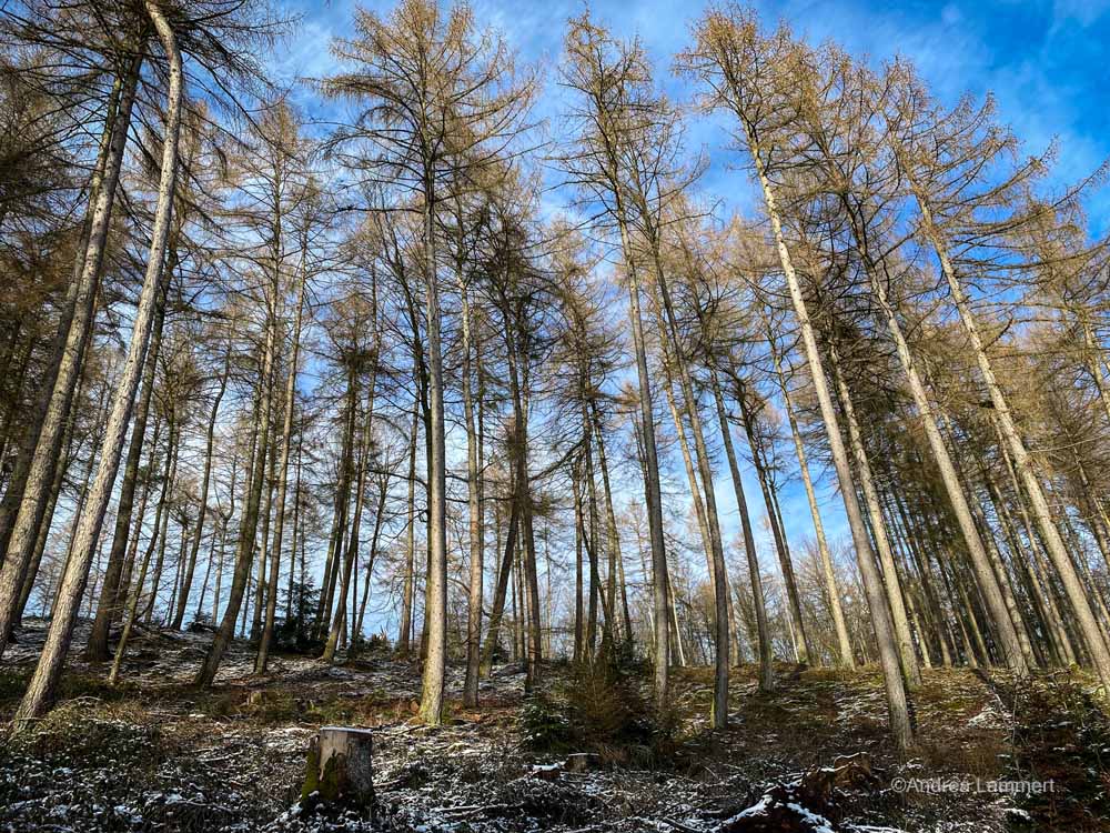 Kalletal, wandern, Hexenberg in Lüdenhausen