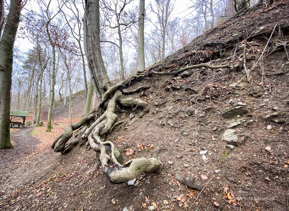 Harz, wandern im Ilsetal, Brocken, Ilsefälle